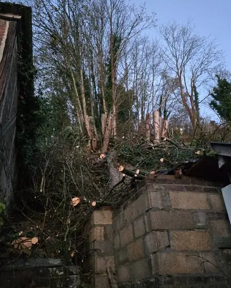 Abattage dans une cour étroite, entre mur et maison