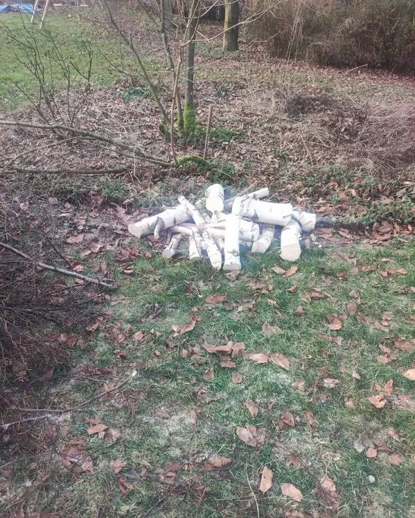 Bois coupé laissé en bûches sur place, à la demande