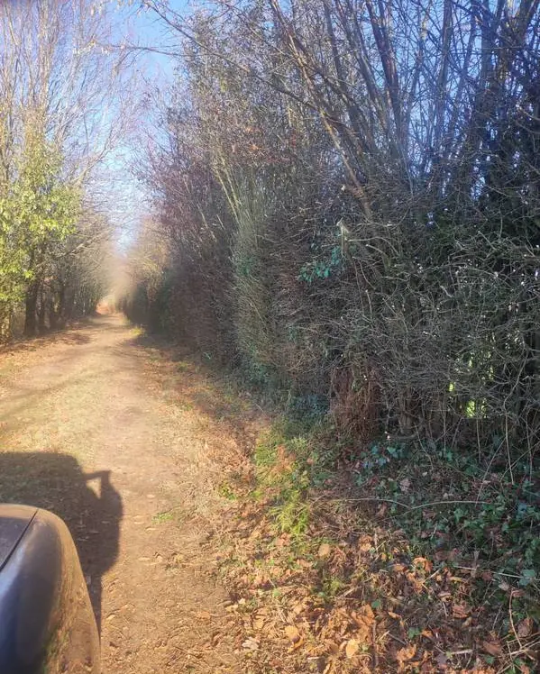 Chemin débroussaillé sur ses bords
