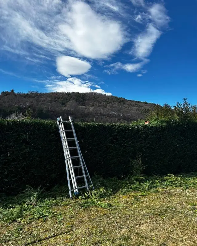 Haie de fond de jardin, le coteau boisé derrière