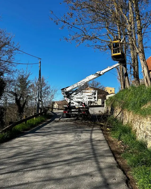 Nacelle déployée en bord de route pour un élagage en hauteur